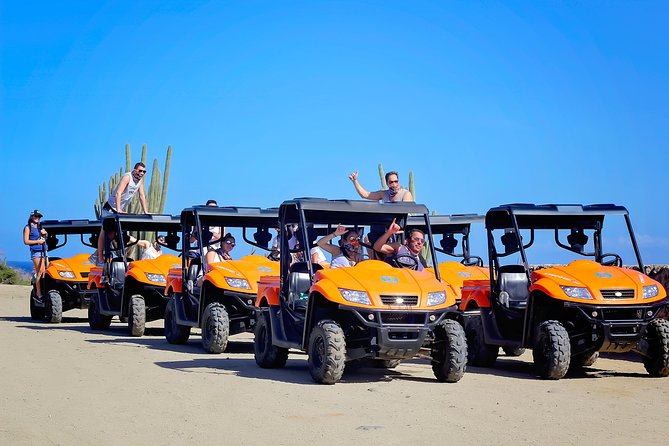 viator aruba tours